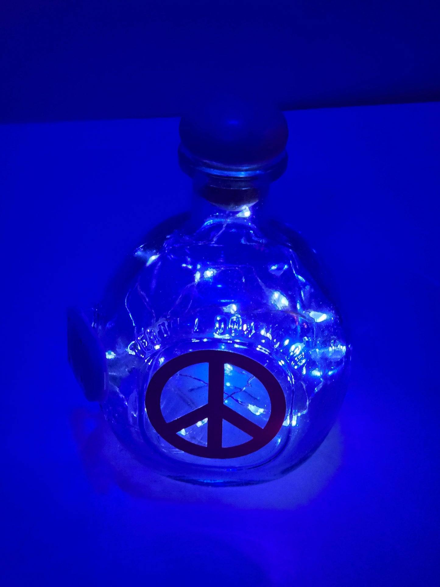 Lighted Bottle Night Bedroom Glow Illuminated Led Ambient Radiant Late Nite Vibe