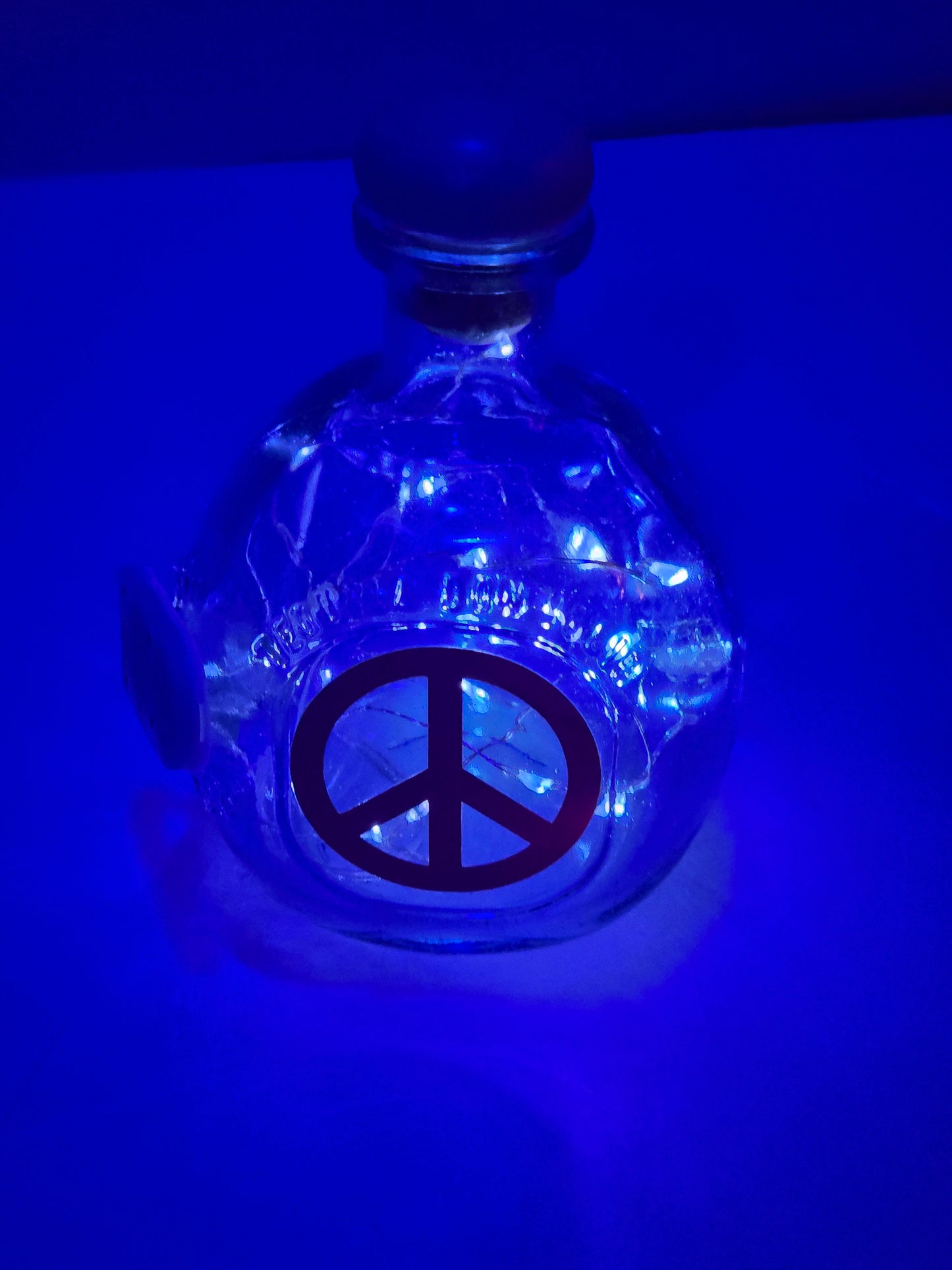 Lighted Bottle Night Bedroom Glow Illuminated Led Ambient Radiant Late Nite Vibe